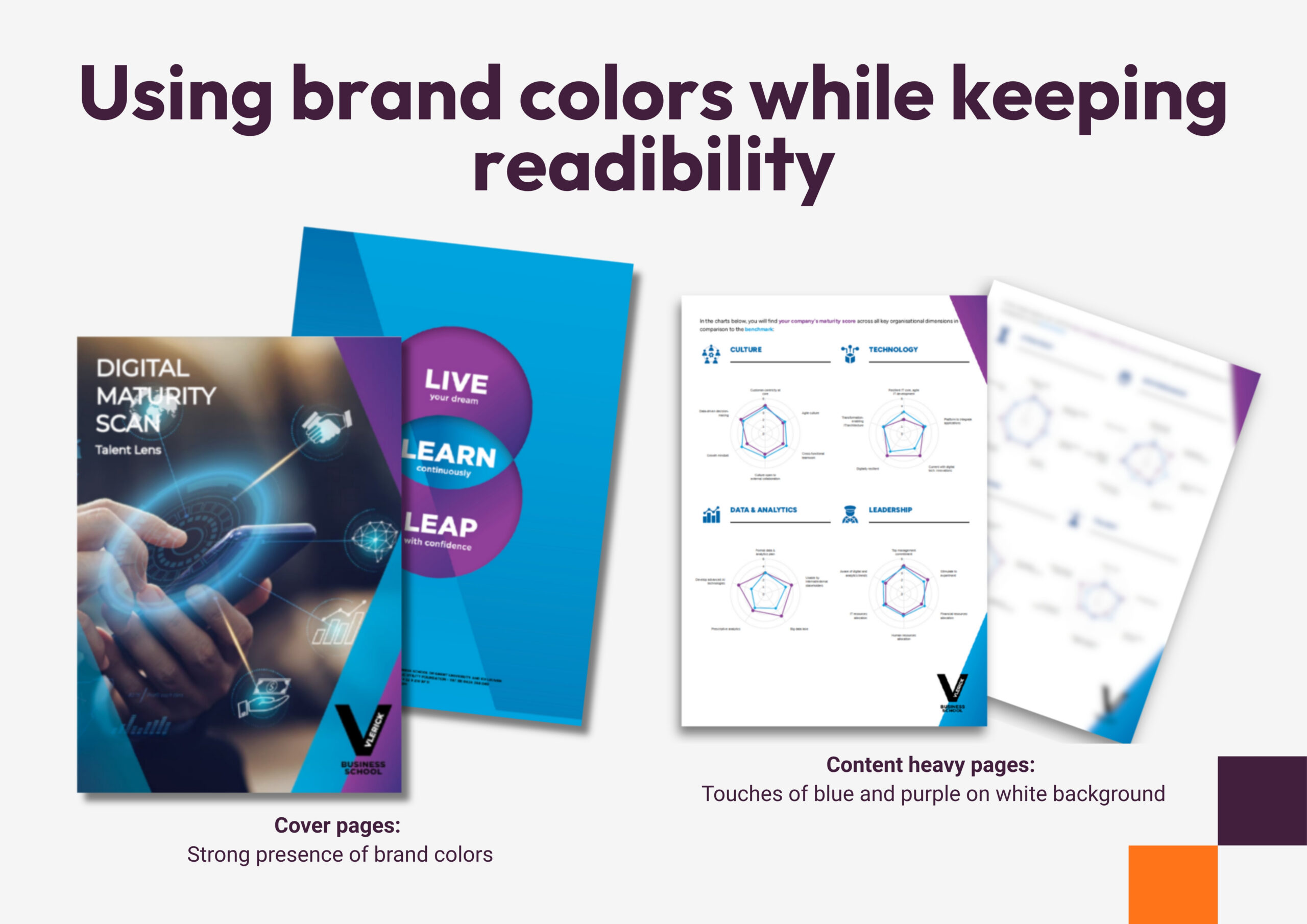 White-label assessment report by Vlerick - Using brand colors while keeping readibility